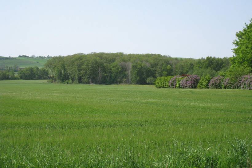 Foto von Ferienhaus UP48 in Knebel - Mols - Ostjütland
