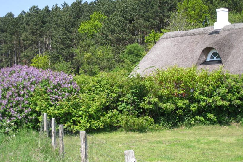 Foto von Ferienhaus UP48 in Knebel - Mols - Ostjütland