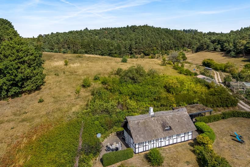 Foto von Ferienhaus UP48 in Knebel - Mols - Ostjütland