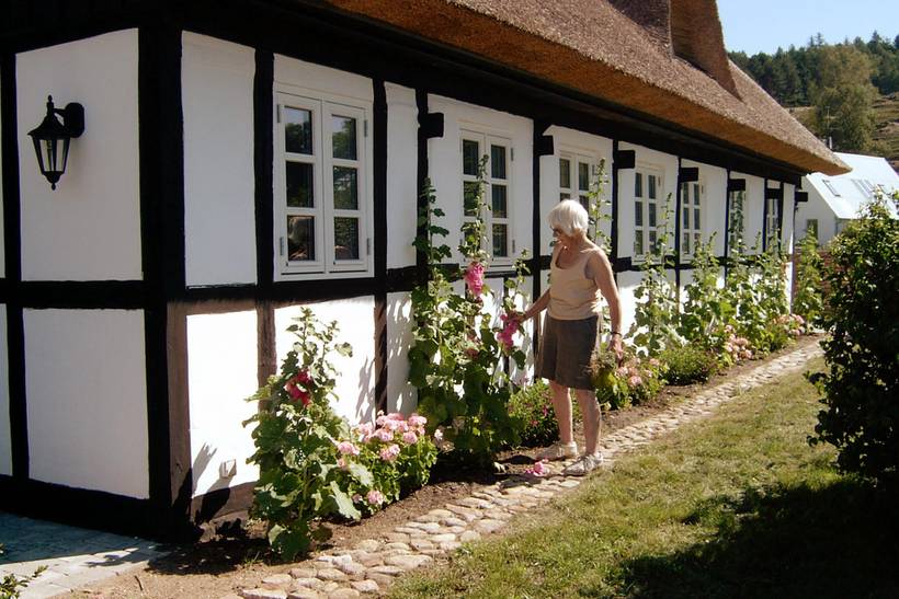 Foto von Ferienhaus UP48 in Knebel - Mols - Ostjütland