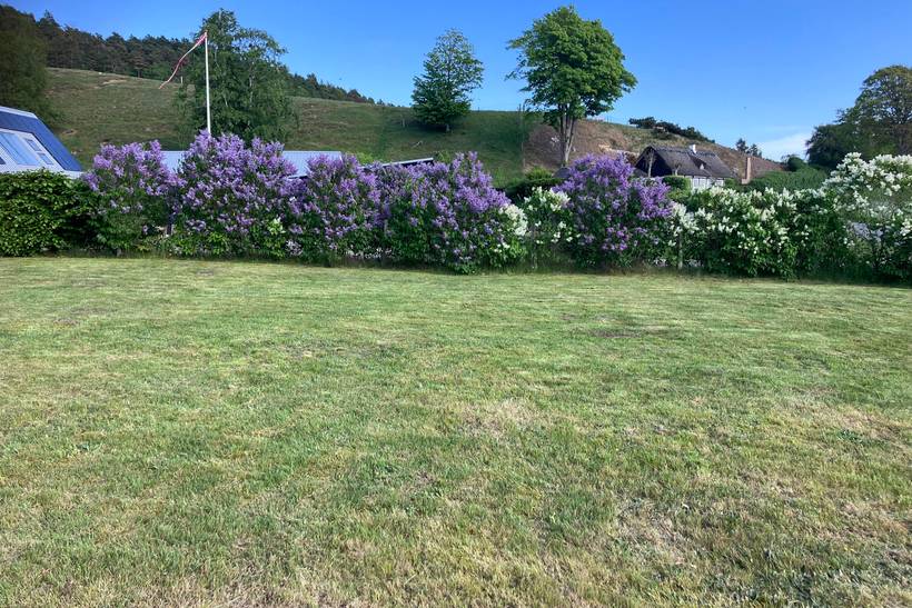 Foto von Ferienhaus UP48 in Knebel - Mols - Ostjütland