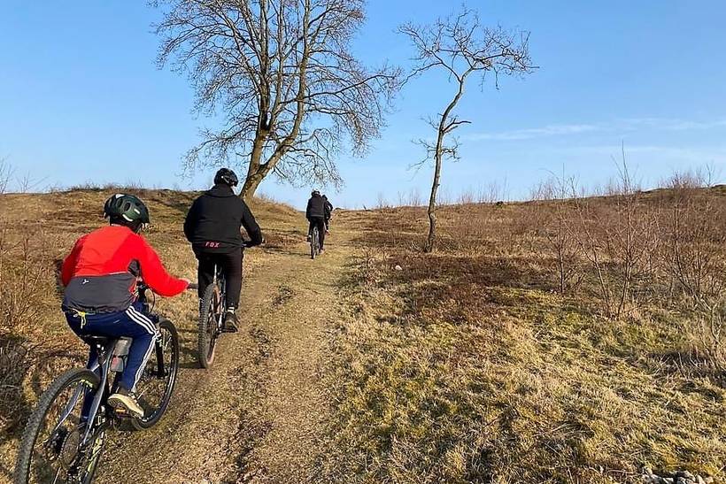 Foto von Ferienhaus UP48 in Knebel - Mols - Ostjütland