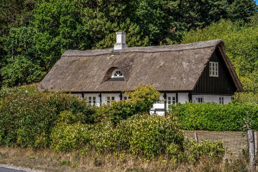 Foto von Ferienhaus UP48 in Knebel - Mols - Ostjütland