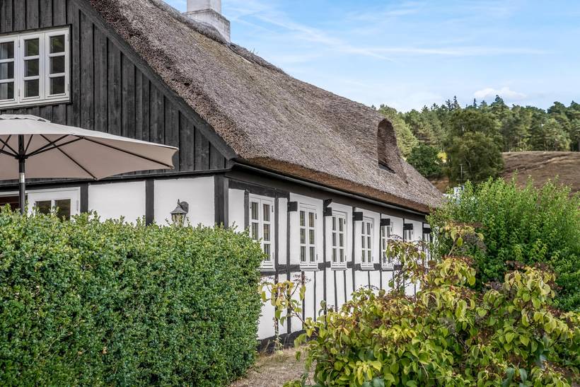 Foto von Ferienhaus UP48 in Knebel - Mols - Ostjütland