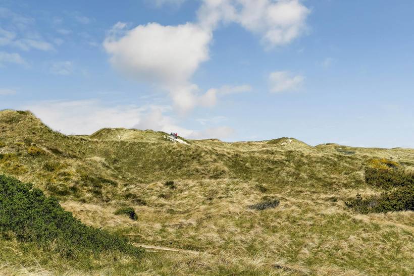 Foto von Ferienhaus UP62 in Grærup - Vejers Strand - Westjütland