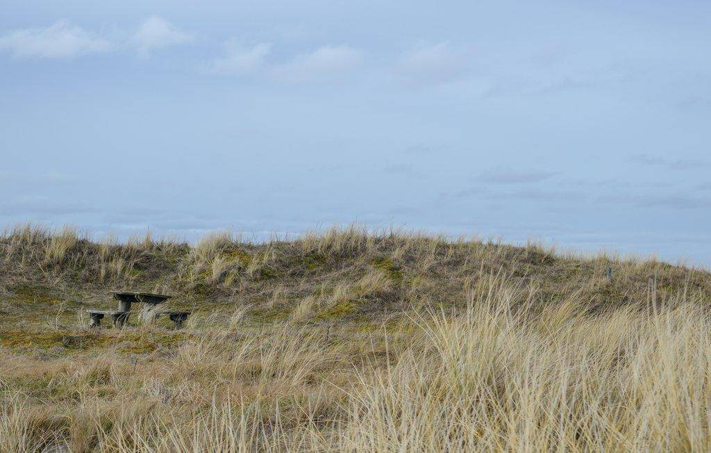 Foto von Ferienhaus UQ29 in Napstjært - Ålbæk - Nordjütland Ost