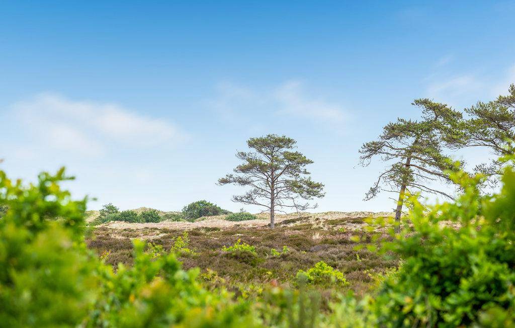 Foto von Ferienhaus UQ29 in Napstjært - Ålbæk - Nordjütland Ost