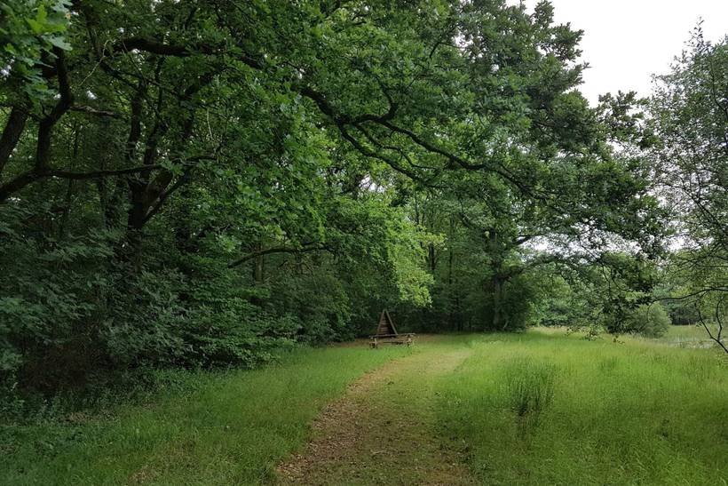 Foto von Ferienhaus UQ69 in Arrild - Südjütland