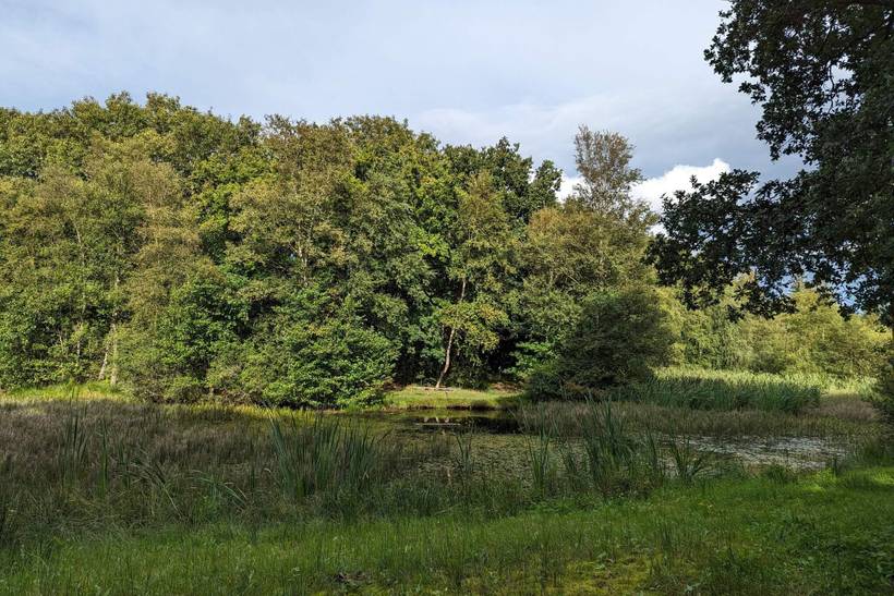 Foto von Ferienhaus UQ69 in Arrild - Südjütland