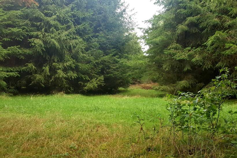 Foto von Ferienhaus UQ69 in Arrild - Südjütland