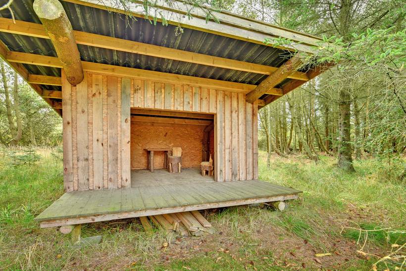 Foto von Ferienhaus UQ70 in Rødhus - Blokhus - Nordjütland
