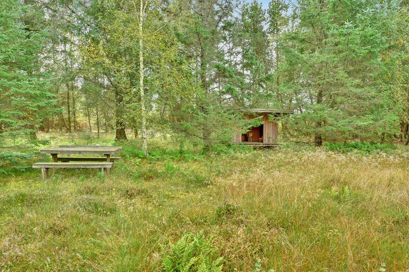Foto von Ferienhaus UQ70 in Rødhus - Blokhus - Nordjütland