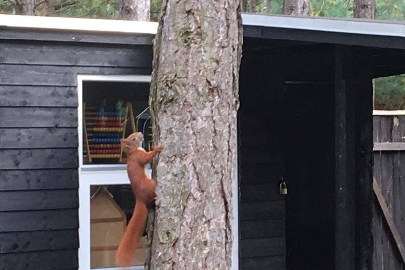 Foto von Ferienhaus UQ99 in Sjællands Odde - Westseeland