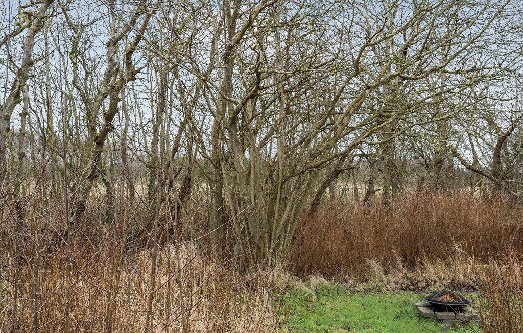 Foto von Ferienhaus UR49 in Bredfjed - Lolland