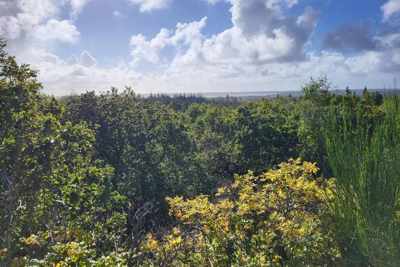 Foto von Ferienhaus UR54 in Houstrup - Westjütland
