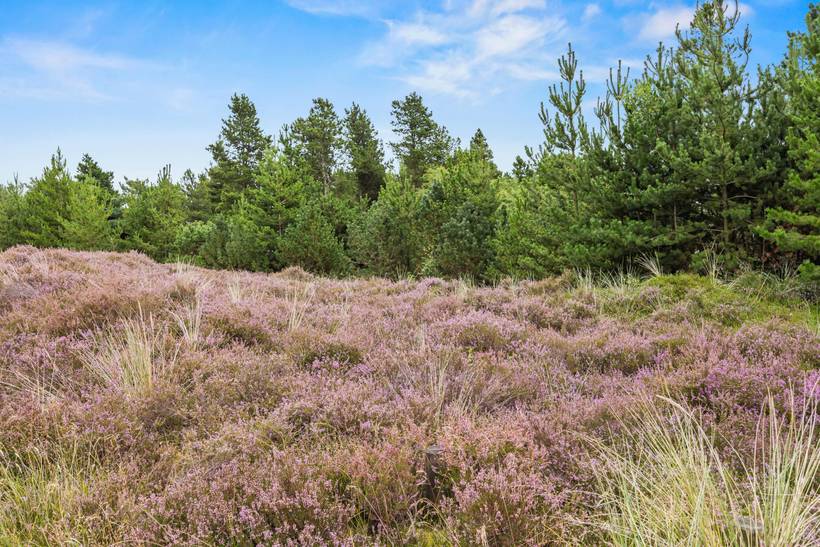 Foto von Ferienhaus UR59 in Bolilmark - Rømø