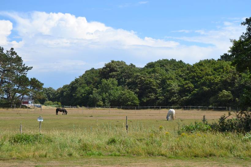 Foto von Ferienhaus US04 in Kromose - Rømø
