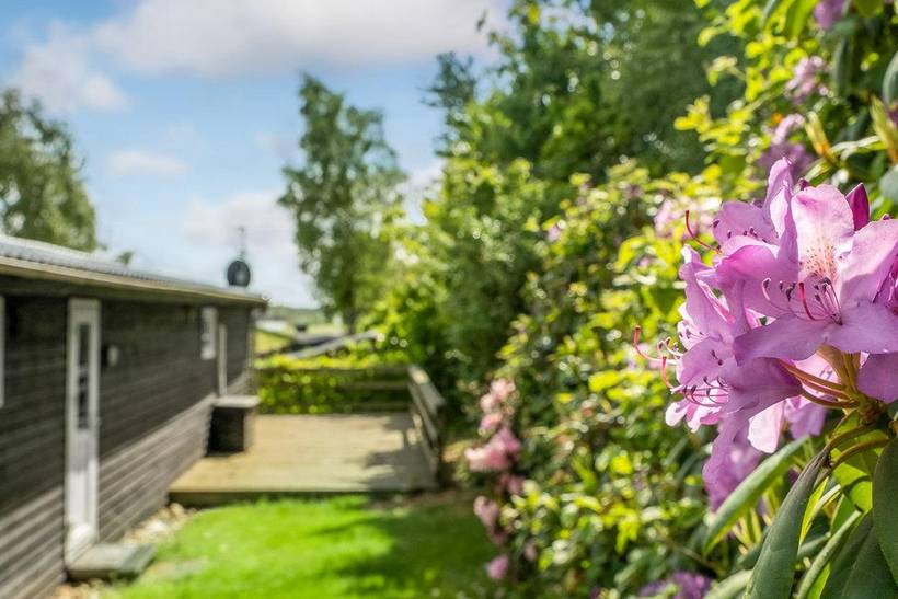 Foto von Ferienhaus US82 in Salling Sund - Thy/Limfjord