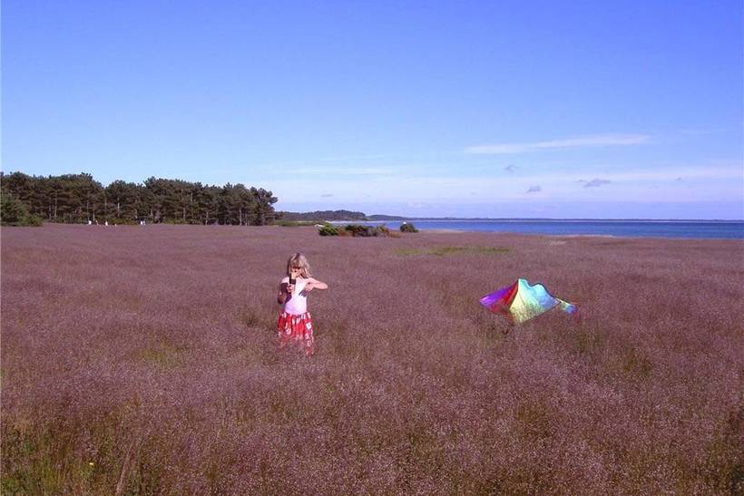 Foto von Ferienhaus US84 in Sjællands Odde - Westseeland