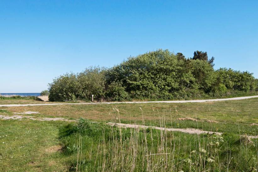 Foto von Ferienhaus UT12 in Bork Havn - Westjütland