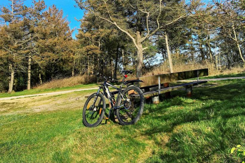 Foto von Ferienhaus UT12 in Bork Havn - Westjütland