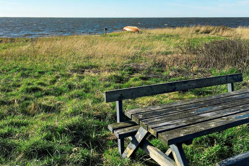 Foto von Ferienhaus UT12 in Bork Havn - Westjütland