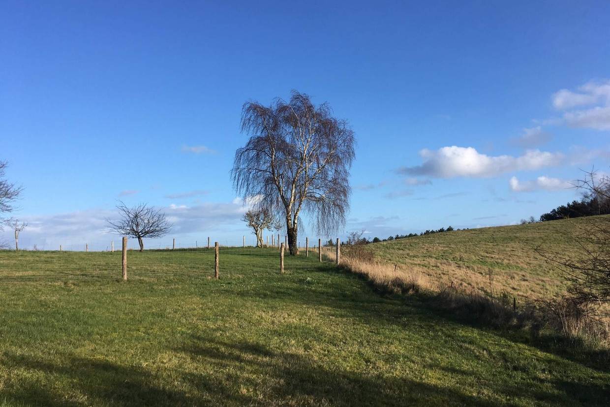 Foto von Ferienhaus UT58 in Helgenæs - Mols - Ostjütland