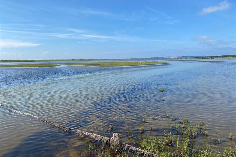 Foto von Ferienhaus UT83 in Sejerø Bugt - Westseeland