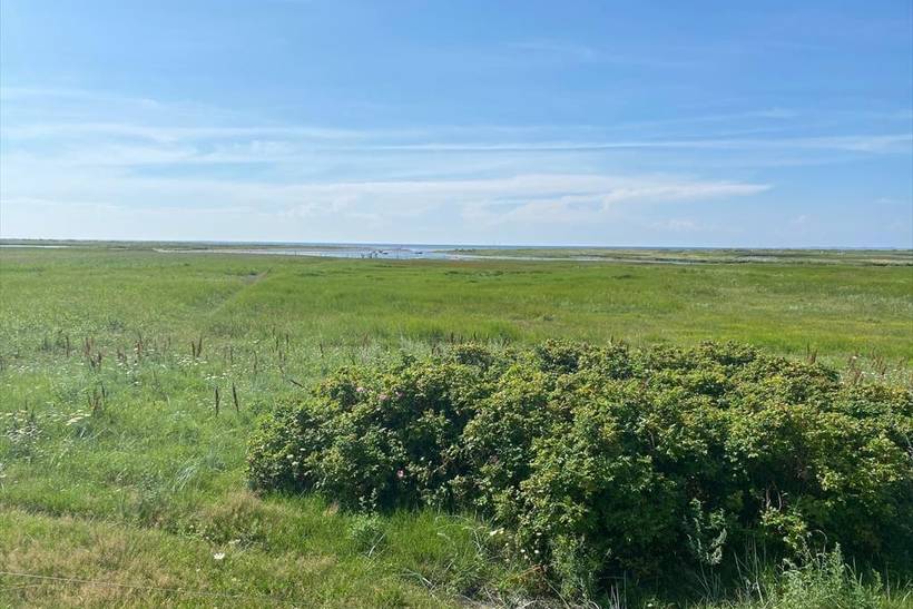 Foto von Ferienhaus UT83 in Sejerø Bugt - Westseeland