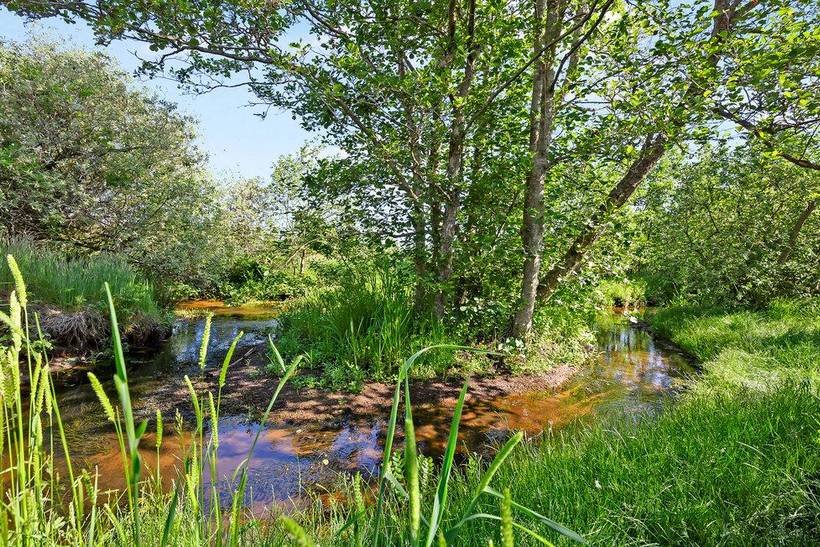 Foto von Ferienhaus UT97 in Slettestrand - Nordjütland