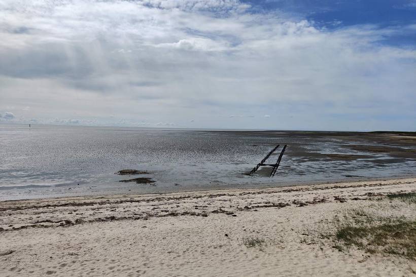 Foto von Ferienhaus UU06 in Kongsmark - Rømø