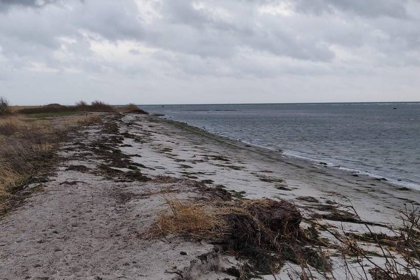 Foto von Ferienhaus UU37 auf Dragør - Nordseeland
