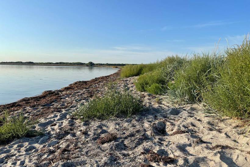 Foto von Ferienhaus UU37 auf Dragør - Nordseeland
