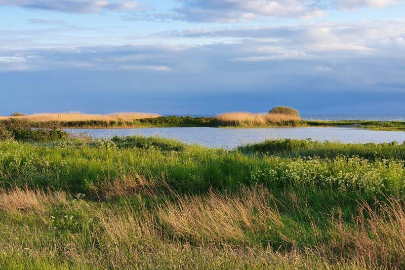 Foto von Ferienhaus UU37 auf Dragør - Nordseeland