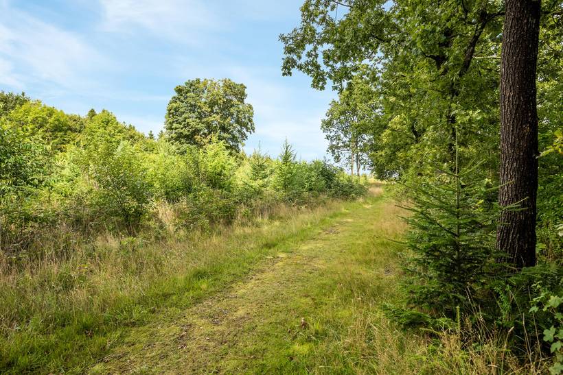 Foto von Ferienhaus UU65 in Arrild - Südjütland