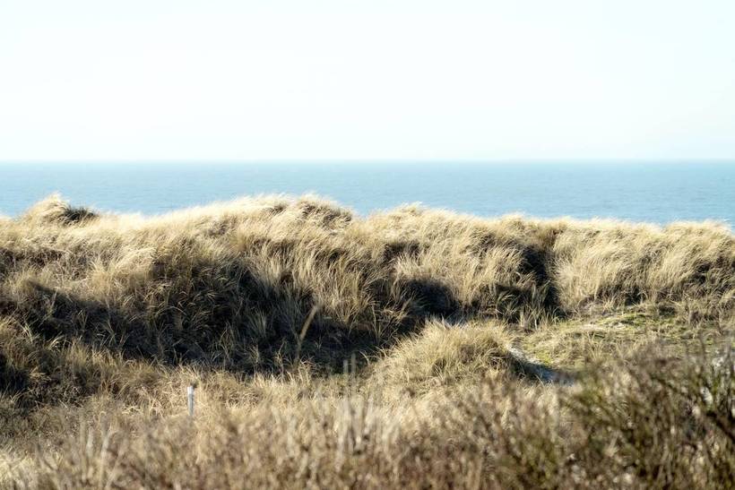 Foto von Ferienhaus UU68 in Henne Strand - Westjütland