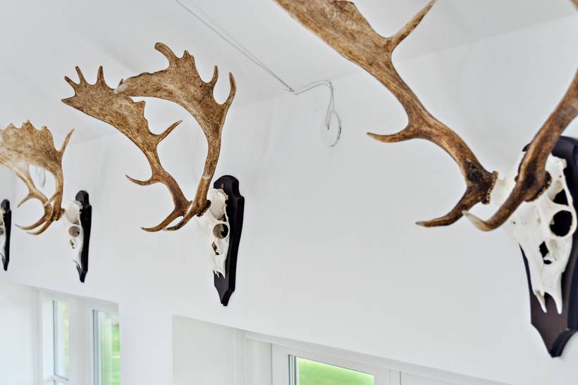 Foto von Ferienhaus UV20 in Fjellerup - Ostjütland