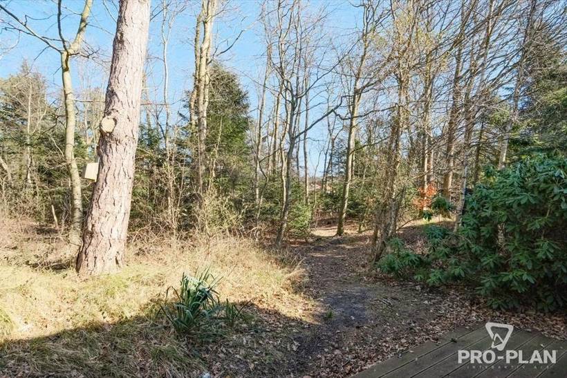Foto von Ferienhaus UW46 in Saksild - Odder - Ostjütland