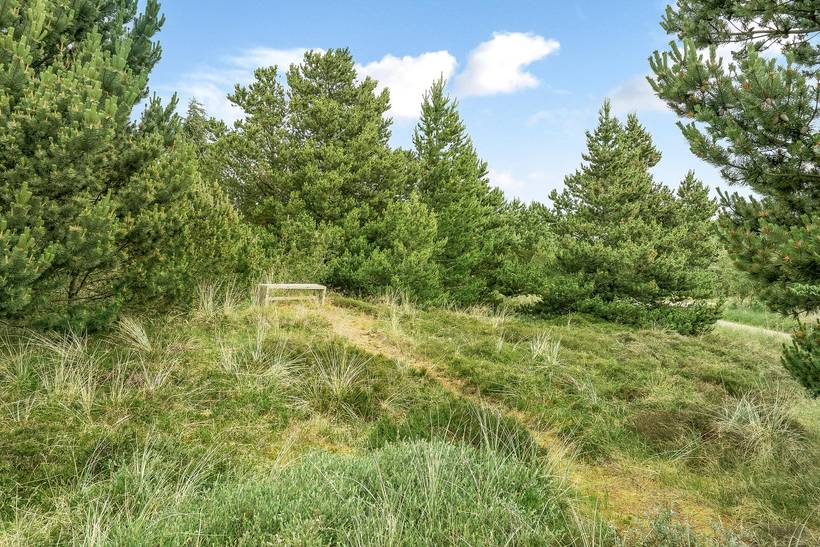Foto von Ferienhaus UW73 in Klitmøller - Thy/Limfjord