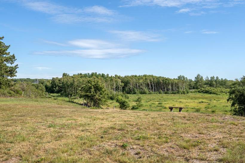 Foto von Ferienhaus UY28 in Ebeltoft - Ostjütland