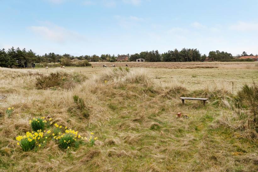 Foto von Ferienhaus UY50 in Blåvand - Westjütland