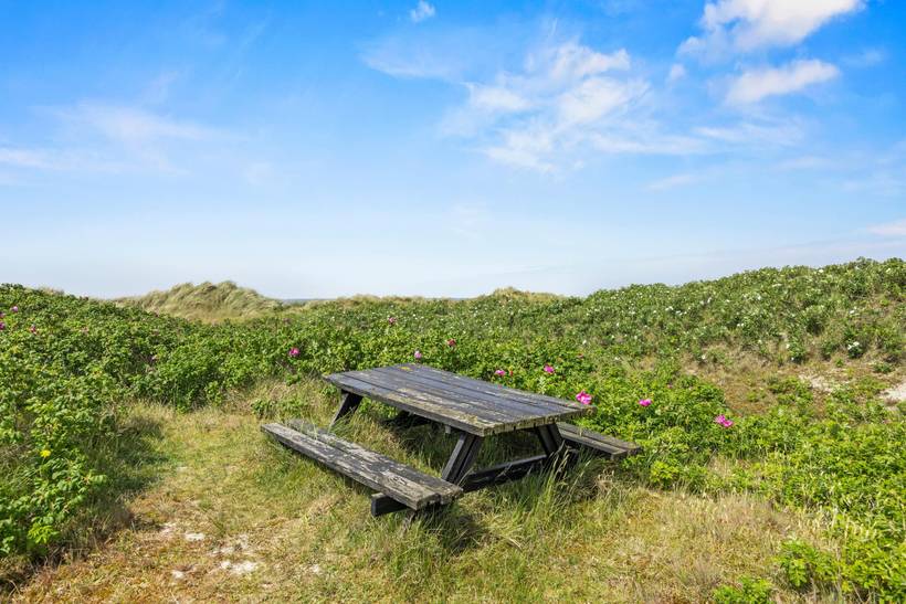 Foto von Ferienhaus UY61 in Fanø Bad - Fanø