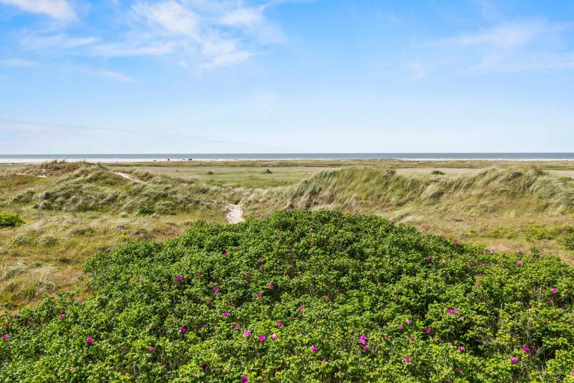 Foto von Ferienhaus UY61 in Fanø Bad - Fanø