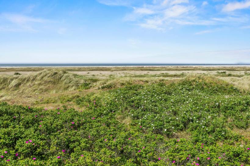 Foto von Ferienhaus UY61 in Fanø Bad - Fanø