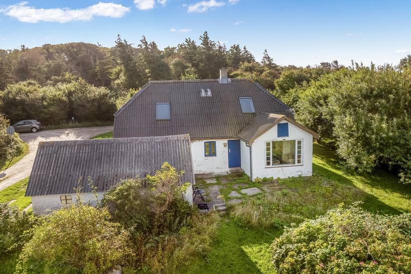 Foto von Ferienhaus UY96 in Lendrup - Thy/Limfjord