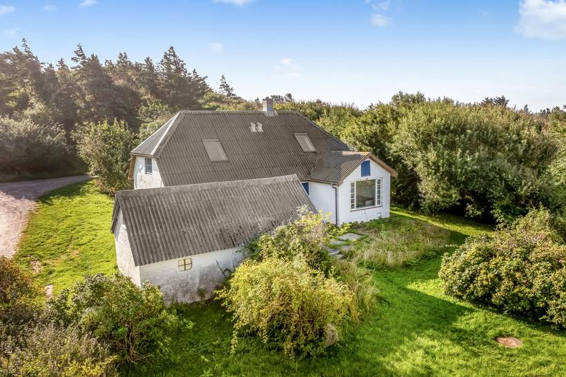Foto von Ferienhaus UY96 in Lendrup - Thy/Limfjord