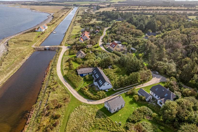 Foto von Ferienhaus UY96 in Lendrup - Thy/Limfjord