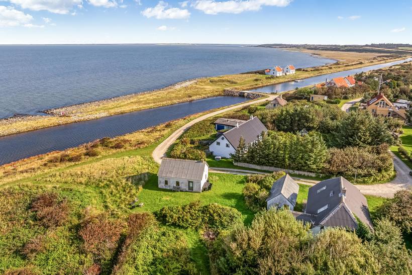 Foto von Ferienhaus UY96 in Lendrup - Thy/Limfjord