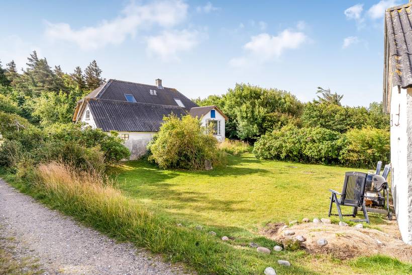 Foto von Ferienhaus UY96 in Lendrup - Thy/Limfjord