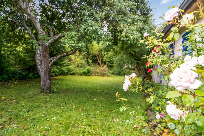 Foto von Ferienhaus UY96 in Lendrup - Thy/Limfjord
